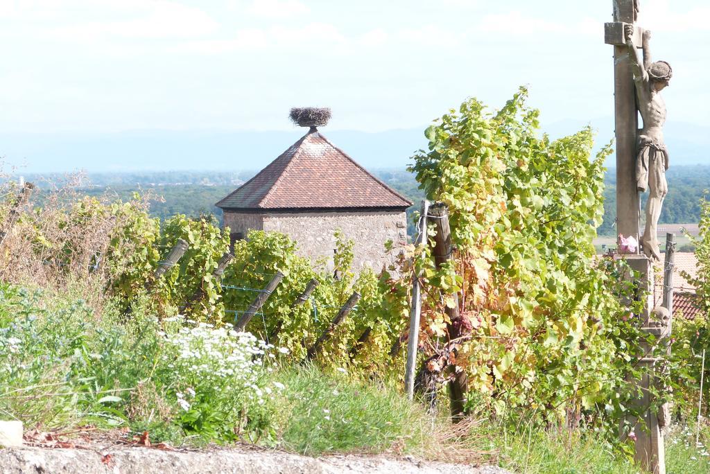 Le P'Tit Coin De Chez Nous Villa Dambach-la-Ville Exterior photo